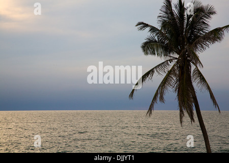 Palm Tree e il mare vicino a Cartagena, Colombia Foto Stock