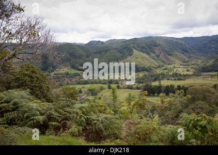 La Colombia è la regione di caffè Foto Stock