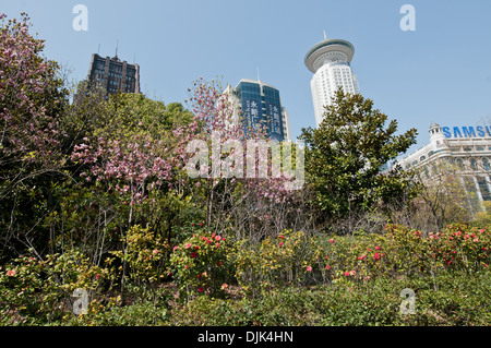 Da destra: New World City Shopping Centre, Radisson Blu, romanzo Plaza - Visto da People Park a Shanghai in Cina Foto Stock