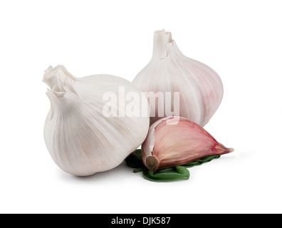 Coppia di bulbi di aglio e uno spicchio isolata contro uno sfondo bianco Foto Stock