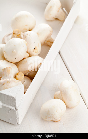 Appena raccolta funghi bianco in bianco scatola di legno sul tavolo da cucina Foto Stock