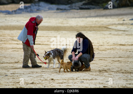Uomo maturo e giovane con i loro cani sulla spiaggia, Harlyn Bay, Cornwall, Inghilterra Foto Stock