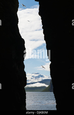 Sankin Isola, Ikatan Bay, isole Aleutian, Alaska. Foto Stock