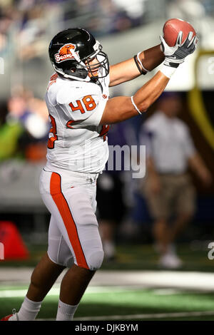 Sett. 04, 2010 - Arlington, Texas, Stati Uniti d'America - Oregon State castori punter Keith Kostol #48 in azione durante la TCU vs. Oregon membro del gioco del calcio presso il cowboy Stadium di Arlington,TX. (Credito Immagine: © Dan Wozniak/Southcreek globale/ZUMApress.com) Foto Stock