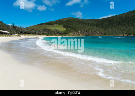 Ned la spiaggia di Isola di Lord Howe, Australia Foto Stock