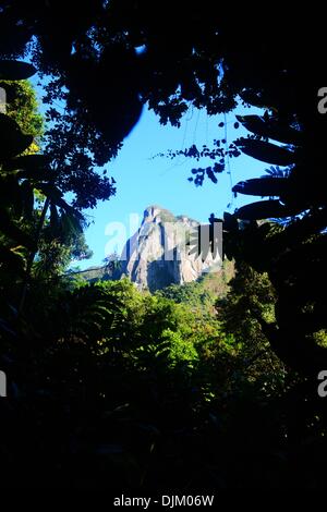 (131129) -- PECHINO, nov. 29, 2013 (Xinhua) -- la foto scattata il 9 novembre 22, 2013 mostra la Marojejy parco nazionale nel nord-est del Madagascar. In 2007, lo United National per l'Educazione, la scienza e la Cultura (UNESCO) elencate le foreste pluviali di Atsinanana come patrimonio mondiale, si compone di sei parchi nazionali lungo la parte orientale dell'isola, comprese le Marojejy National Park. Dopo aver completato la sua separazione da tutte le altre masse terrestri oltre sessanta milioni di anni fa, Madagascar la vita vegetale e animale si è evoluta in isolamento. Queste foreste pluviali sono importanti sia per ecolog Foto Stock