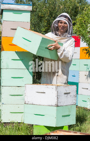 Apicoltore portando scatola di nido d'ape a Apiario Foto Stock