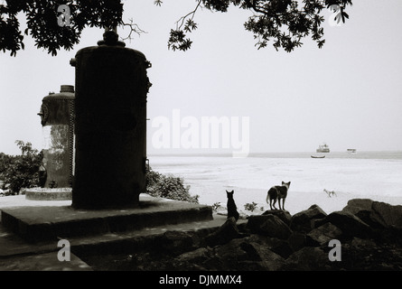 Fotografia di viaggio - cani che guarda al mare a Fort Kochi Cochin in Kerala in India in Asia del Sud. Silhouette di paesaggio Foto Stock