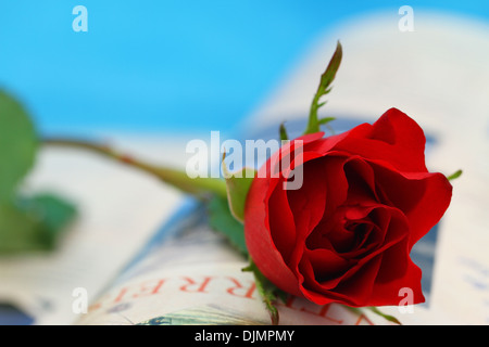 Red Rose sul libro aperto su sfondo blu Foto Stock
