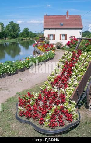 Display floreali adiacente al blocco sul Canal du Centre Borgogna Francia orientale Foto Stock