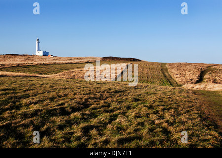 Prato soleggiato e Flamborough Head Lighthouse East Riding of Yorkshire Inghilterra Foto Stock