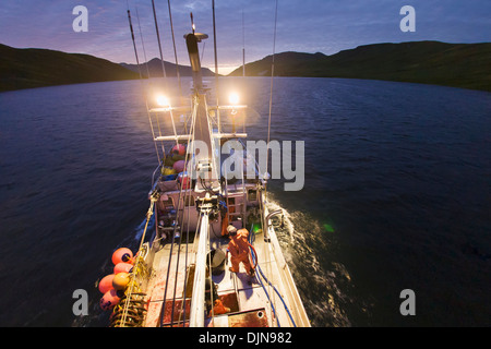 Equipaggio pulizia dopo un giorno di ippoglosso commerciale la pesca con palangari nella zona sud ovest di Alaska, Estate. Foto Stock