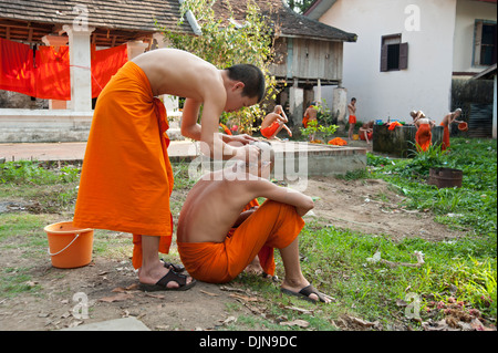 Un monaco novizio una rasatura un altro monaco di testa nel tempio motivi con un sacco di lavaggio dei monaci in background Luang Prabang Laos Foto Stock