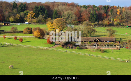 Un inglese un paesaggio rurale in autunno in The Chiltern Hills con casa colonica e il settore equestre Foto Stock