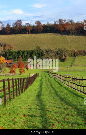 Un inglese un paesaggio rurale nella Chiltern Hills in autunno con la via tra i campi Foto Stock