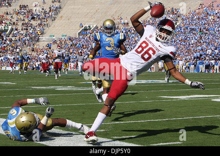 27 mar 2008 - Pasadena, California, Stati Uniti - Stato di Washington Cougars wide receiver Marchese Wilson (86) Si ritiene che le catture di un pass per un primo verso il basso nel quarto trimestre di una partita di calcio come UCLA sbattere nello Stato di Washington 42-28 presso il Rose Bowl sabato 2 ottobre, 2010, Pasadena. (SGVN/personale Foto di Keith Birmingham/SPORT) (credito Immagine: © San Gabriel Valley Tribune/ZUMApress.com) Foto Stock