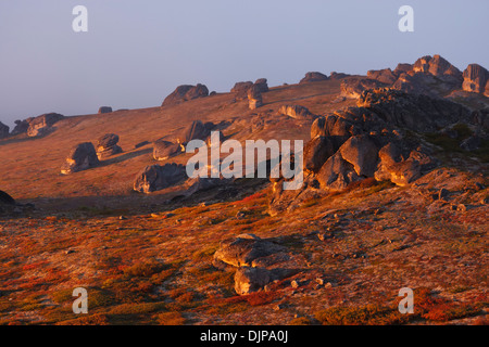 Autunno a colori sulla tundra con un unica caratteristica geologica nota come il granito Tor, vicino a Serpentine Hot Springs Foto Stock