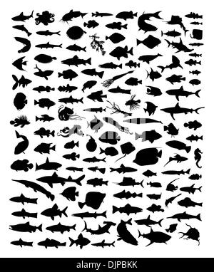 Silhouette di pesce Illustrazione Vettoriale