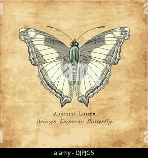 Vintage Butterfly Illustrazione Vettoriale