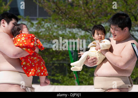 Apr. 25, 2010 - Tokyo, Giappone - come dilettanti lottatori di sumo tenere i neonati durante il festival annuale "Nakizumo' (pianto sumo) presso il Tempio di Sensoji e uomini mascherati provare a spaventare loro, così saranno grido. Un centinaio di bambini nati nel 2009 hanno partecipato nel 2010 Concorso di pianto, il quale è trattenuto, pregando per bambini piccoli (" bébés " crescita e la salute di tutto il Giappone. Più è forte il pianto il migliore. Il primo bambino per Foto Stock