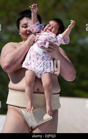 Apr. 25, 2010 - Tokyo, Giappone - come dilettanti lottatori di sumo tenere i neonati durante il festival annuale "Nakizumo' (pianto sumo) presso il Tempio di Sensoji e uomini mascherati provare a spaventare loro, così saranno grido. Un centinaio di bambini nati nel 2009 hanno partecipato nel 2010 Concorso di pianto, il quale è trattenuto, pregando per bambini piccoli (" bébés " crescita e la salute di tutto il Giappone. Più è forte il pianto il migliore. Il primo bambino per Foto Stock