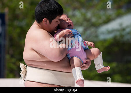 Apr. 25, 2010 - Tokyo, Giappone - come dilettanti lottatori di sumo tenere i neonati durante il festival annuale "Nakizumo' (pianto sumo) presso il Tempio di Sensoji e uomini mascherati provare a spaventare loro, così saranno grido. Un centinaio di bambini nati nel 2009 hanno partecipato nel 2010 Concorso di pianto, il quale è trattenuto, pregando per bambini piccoli (" bébés " crescita e la salute di tutto il Giappone. Più è forte il pianto il migliore. Il primo bambino per Foto Stock