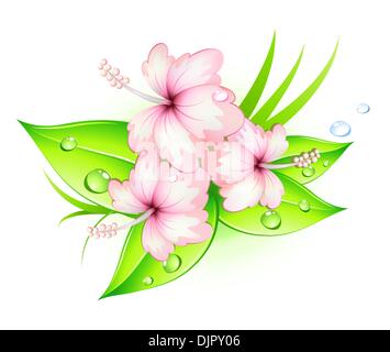 Illustrazione Vettoriale di funky estate fiori di ibisco Illustrazione Vettoriale