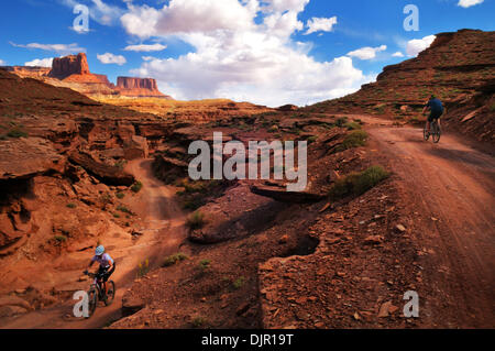 03 maggio 2010 - Moab, Utah, Stati Uniti d'America - un gruppo di appassionati di mountain bike fissato un permesso per il White Rim Trail che corre attraverso il Parco Nazionale di Canyonlands vicino a Moab, Utah. Il gruppo aveva una trazione a quattro ruote motrici vehcile per supporto. Si accamparono in certified campeggi. Il sentiero è di 103 miglia lungo e viene eseguito attraverso una bella desert canyon e paesaggi. La molla meteo era soleggiata e tempestose. Foto Stock