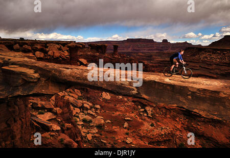 03 maggio 2010 - Moab, Utah, Stati Uniti d'America - un gruppo di appassionati di mountain bike fissato un permesso per il White Rim Trail che corre attraverso il Parco Nazionale di Canyonlands vicino a Moab, Utah. Il gruppo aveva una trazione a quattro ruote motrici vehcile per supporto. Si accamparono in certified campeggi. Il sentiero è di 103 miglia lungo e viene eseguito attraverso una bella desert canyon e paesaggi. La molla meteo era soleggiata e tempestose. Foto Stock