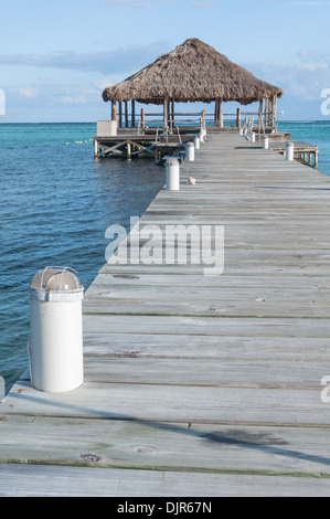 Beach Deck con Palapa galleggiante in acqua Foto Stock