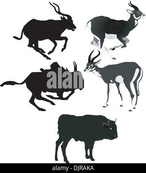 Raccolta di immagini di vettore di antilopi Illustrazione Vettoriale