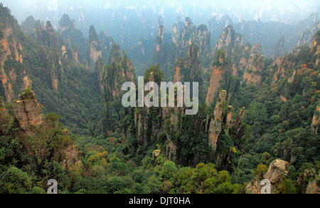 Zhangjiajie National Forest Park, Hunan, Cina Foto Stock