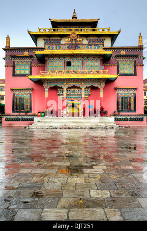 Shechen monastery tibetano, Kathmandu, Nepal Foto Stock