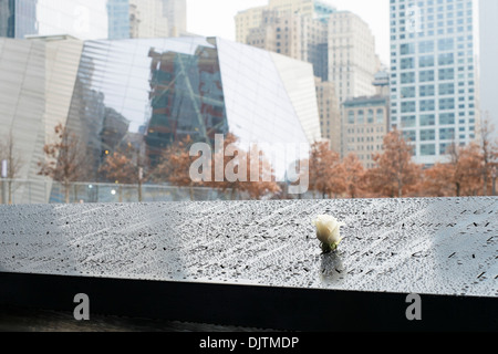 NEW YORK, USA - 22 novembre: Rose su 9/11 memorial memorial di commemorazione delle vittime di attentati terroristici. Novembre 22, 2013 Foto Stock