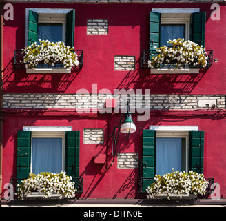 Colore rosso davanti casa con finestre e fiori, Burano, Veneto, Italia Foto Stock