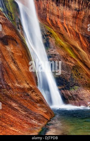 Abbassare Calf Creek Falls versa su il brillante pareti colorate di arenaria Navajo in Utah's Escalante monumento nazionale. Foto Stock