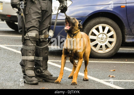 Belfast, Irlanda del Nord - 30 nov 2013 - La polizia attacca i cani vengono portati fuori in preparazione in caso di guai. Credito: Stephen Barnes/Alamy Live News Foto Stock