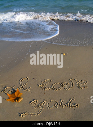 Ti amo scritto sulla sabbia di una spiaggia Foto Stock