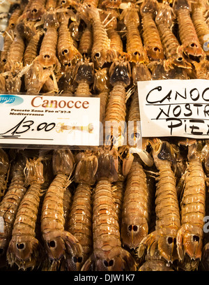 Canocchia per la vendita nel mercato di Rialto Mercato, Venezia, Italia. Foto Stock