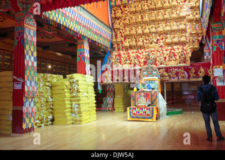 Statue di Buddha, Tsurphu Monastero, Prefettura di Lhasa, in Tibet, in Cina Foto Stock