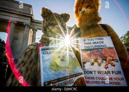 Anti-Fur i diritti degli animali la protesta di coalizione a Londra Foto Stock