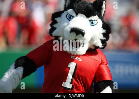 Il 9 ottobre, 2010 - Dekalb, Illinois, Stati Uniti d'America - Northern Illinois Huskies mascotte celebra tra trimestri. Northern Illinois Huskies sconfitto il tempio di gufi 31 - 17 a Huskie Stadium. (Credito Immagine: © Giovanni Fisher/Southcreek globale/ZUMApress.com) Foto Stock