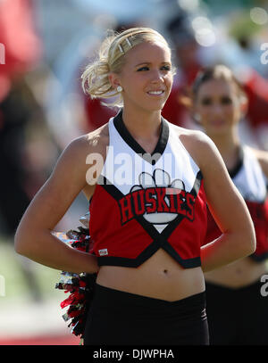 Il 9 ottobre, 2010 - Dekalb, Illinois, Stati Uniti d'America - Northern Illinois Huskies cheerleader. Northern Illinois Huskies sconfitto il tempio di gufi 31 - 17 a Huskie Stadium. (Credito Immagine: © Giovanni Fisher/Southcreek globale/ZUMApress.com) Foto Stock