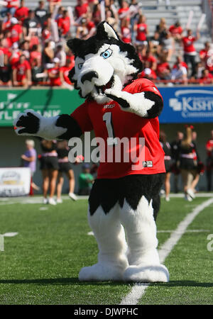 Il 9 ottobre, 2010 - Dekalb, Illinois, Stati Uniti d'America - Northern Illinois Huskies mascotte dancing. Northern Illinois Huskies sconfitto il tempio di gufi 31 - 17 a Huskie Stadium. (Credito Immagine: © Giovanni Fisher/Southcreek globale/ZUMApress.com) Foto Stock