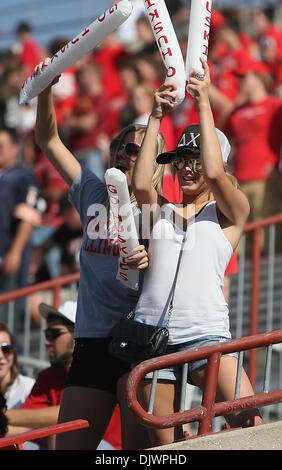 Il 9 ottobre, 2010 - Dekalb, Illinois, Stati Uniti d'America - Northern Illinois Huskies tifosi durante un time out. Northern Illinois Huskies sconfitto il tempio di gufi 31 - 17 a Huskie Stadium. (Credito Immagine: © Giovanni Fisher/Southcreek globale/ZUMApress.com) Foto Stock