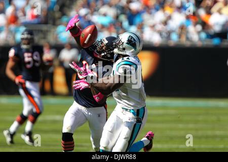 Ottobre 10, 2010; Carolina Panthers wide receiver Brandon LaFell (11) e Chicago Bears cornerback Charles Tillman (33) lotta per la palla a Bank of America Stadium di Charlotte, NC. Chicago conduce al tempo di emisaturazione 17-3 oltre le pantere..Jim Dedmon/CSM(Immagine di credito: © Jim Dedmon/Cal Sport Media/ZUMApress.com) Foto Stock