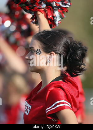 16 ottobre 2010 - Dekalb, Illinois, Stati Uniti d'America - Northern Illinois Huskies cheerleader durante il gioco. Northern Illinois Huskies sconfitto il Buffalo tori 45 -14 a Huskie Stadium. (Credito Immagine: © Giovanni Fisher/Southcreek globale/ZUMApress.com) Foto Stock