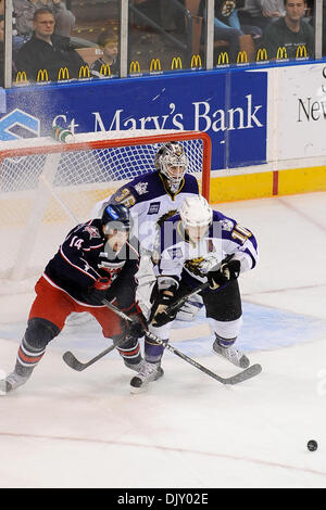 Nov. 14, 2010 - Manchester, New Hampshire, Stati Uniti d'America - monarchi provare a riscattare ciò che potrebbe essere una catastrofica fine settimana con una vittoria contro i falchi. Durante il primo periodo di gioco. Falchi portare 1-0 (credito Immagine: © Jim Melito/Southcreek globale/ZUMApress.com) Foto Stock