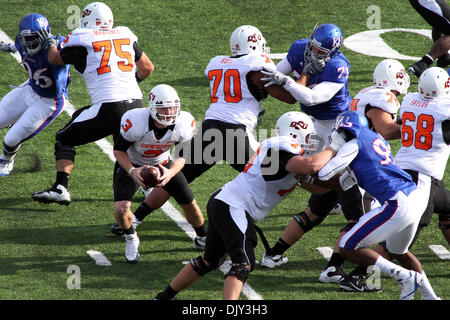 Nov. 20, 2010 - Lawrence, Kansas, Stati Uniti d'America - Oklahoma State Cowboys quarterback Brandon Weeden (3) cerca di passare dopo la caduta della snap durante il primo semestre l'azione. Oklahoma conduce Kansas 20-14 al tempo di emisaturazione del gioco presso il Memorial Stadium di Lawrence, KS. (Credito Immagine: © Jacob Paulsen Southcreek/Global/ZUMAPRESS.com) Foto Stock