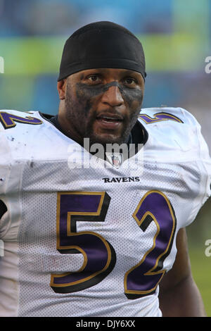 Novembre 21, 2010; Baltimore Ravens linebacker Ray Lewis (52) presso la Bank of America Stadium di Charlotte, NC. Il punteggio finale viene Baltimore 37- Carolina 13. . Jim Dedmon/CSM(Immagine di credito: © Jim Dedmon/Cal Sport Media/ZUMAPRESS.com) Foto Stock